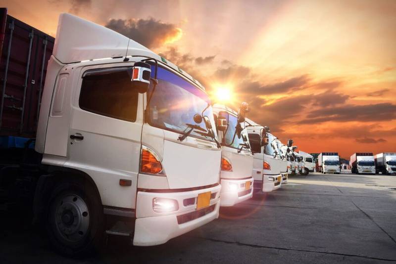 Modern white logistics trucks lined up at sunrise, representing robust Thai supply chain and transport services.