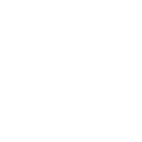 website 1