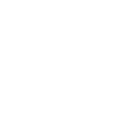 paid media